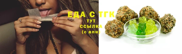 тгк Алексин